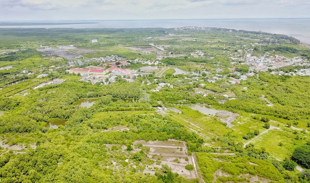 Cần Giờ đang hướng đến phát triển nông nghiệp đô thị (ảnh:TL)