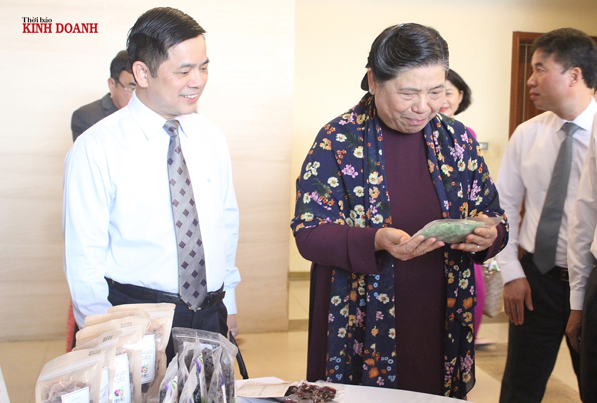 Phó Chủ tịch Thường trực Quốc hội Tòng Thị Phóng và