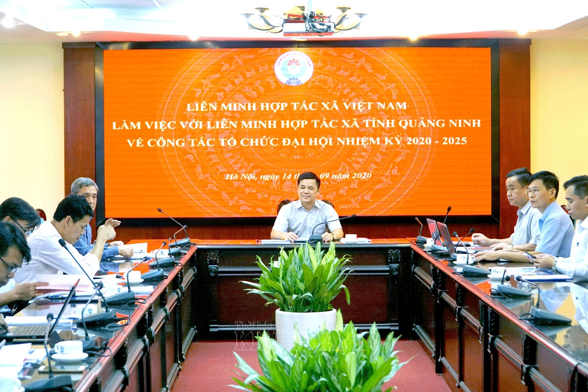 Phó Chủ tịch Liên minh HTX Việt Nam Nguyễn Văn Thịnh trao đổi về kế hoạch tổ chức Đại hội khóa VI, nhiệm kỳ 2020-2025 của Liên minh HTX tỉnh Quảng Ninh.