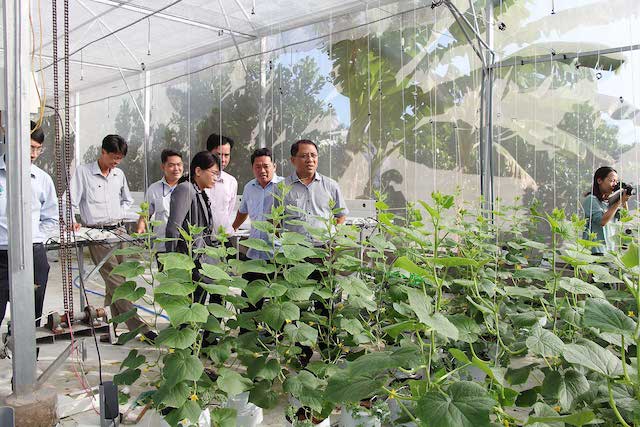 Thị xã Long Mỹ chú trọng đào tạo nghề nông gắn với vùng nguyên liệu.