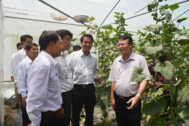 Mô hình trồng dưa lưới ở xã An Bình được nhiều người đến tham gia học hỏi.