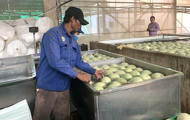 Đời sống người dân xã An Bình ngày càng nâng lên nhờ các mô hình kinh tế hợp tác.