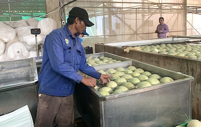 Đời sống người dân xã An Bình ngày càng nâng lên nhờ các mô hình kinh tế hợp tác.