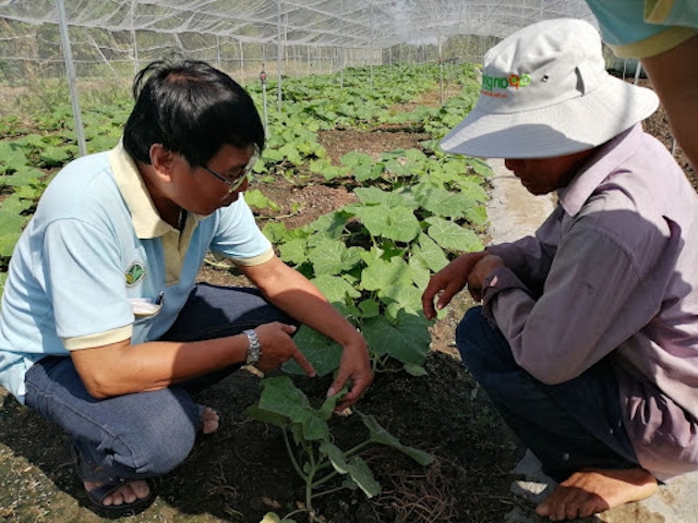 Học nghề nông nghiệp giúp nông dân thị xã Long Mỹ canh tác tốt.