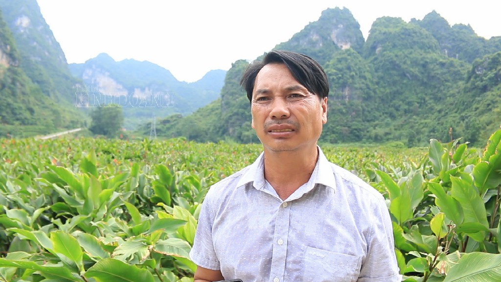 Ông Hoàng Văn Tư - Giám đốc HTX Án Lại chia sẻ về quá trình hoạt động của HTX.