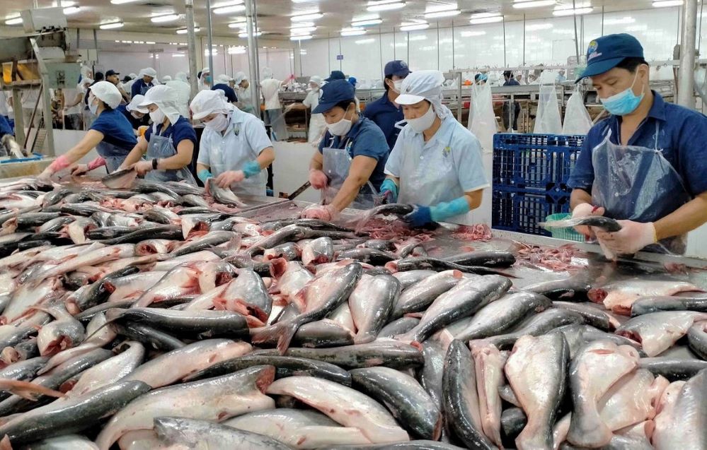 12 doanh nghiệp Việt Nam được xuất khẩu trở lại một số mặt hàng thủy sản đánh bắt vào thị trường Saudi Arabia (Ảnh minh họa: Int)