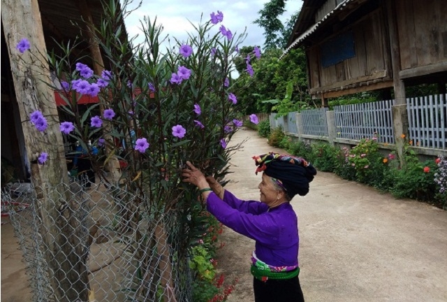 Những con đường hoa góp phần tô điểm cho diện mạo nông thôn Mường Bú.