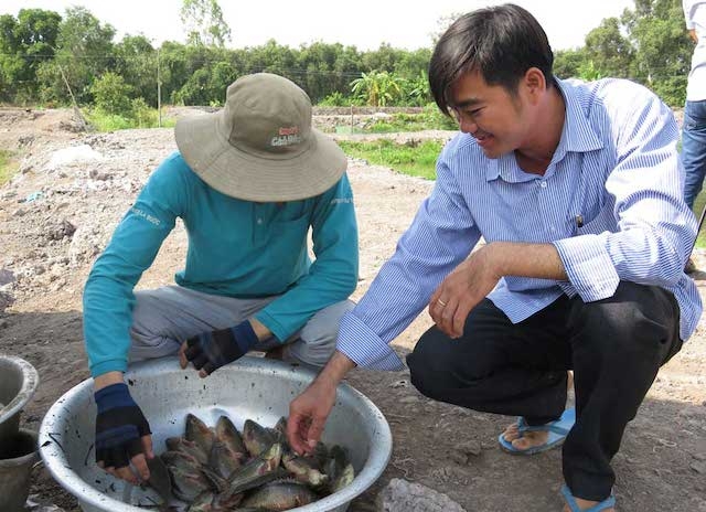 HTX Long Thạnh quyết tâm tìm hướng đi mới cho nông dân địa phương.