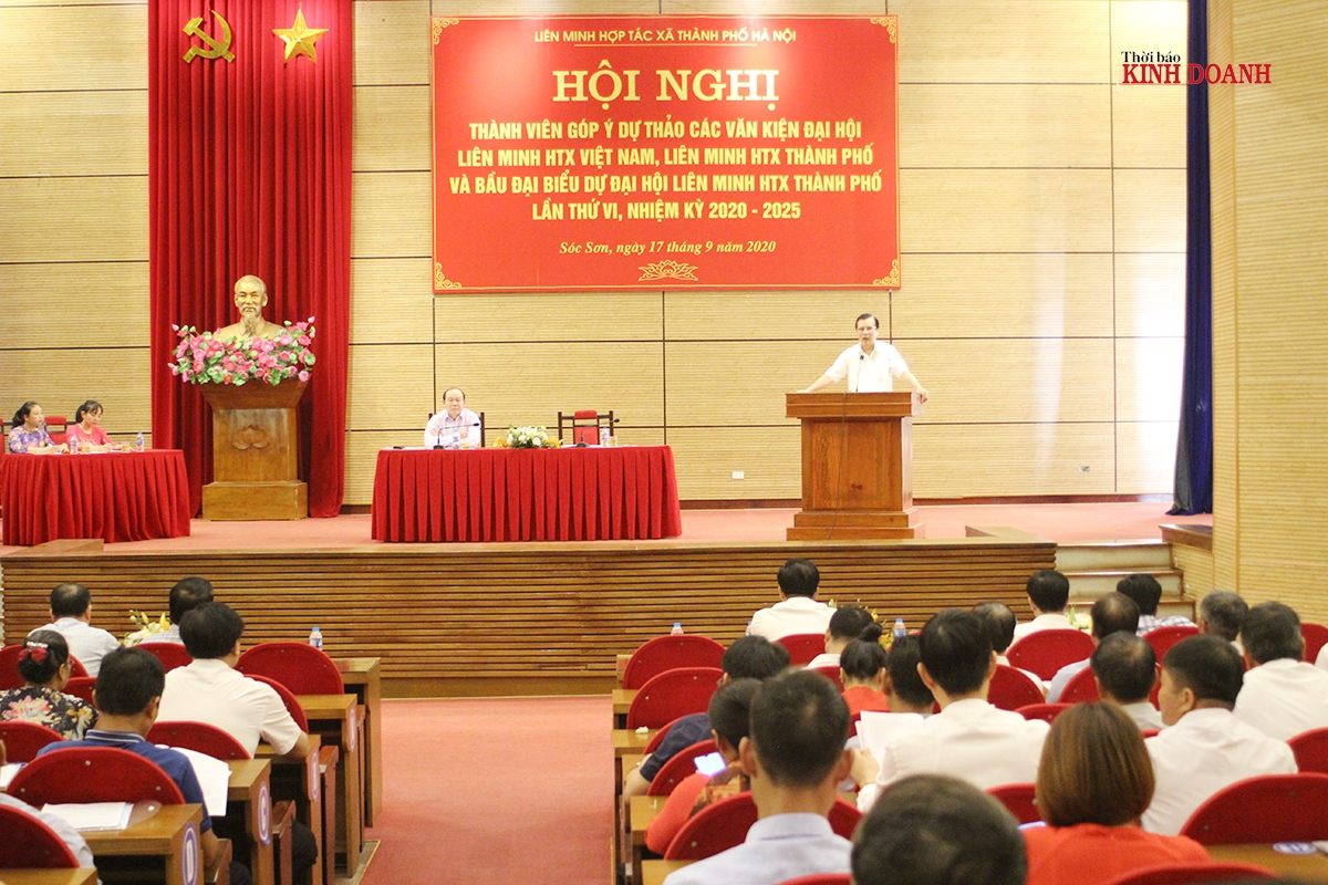 Hội nghị được chủ trì bởi Chủ tịch Liên minh HTX Việt Nam Nguyễn Ngọc Bảo và Chủ tịch Liên minh HTX thành phố Hà Nội Lê Văn Thư, thu hút sự tham gia của gần 100 đại biểu các cấp, đại diện các HTX, quỹ tín dụng nhân dân.