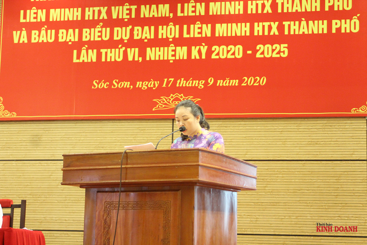 Bà Đinh Thị Quỳnh Nga - Giám đốc HTX Trái Tim Hồng trao đổi tại hội nghị.