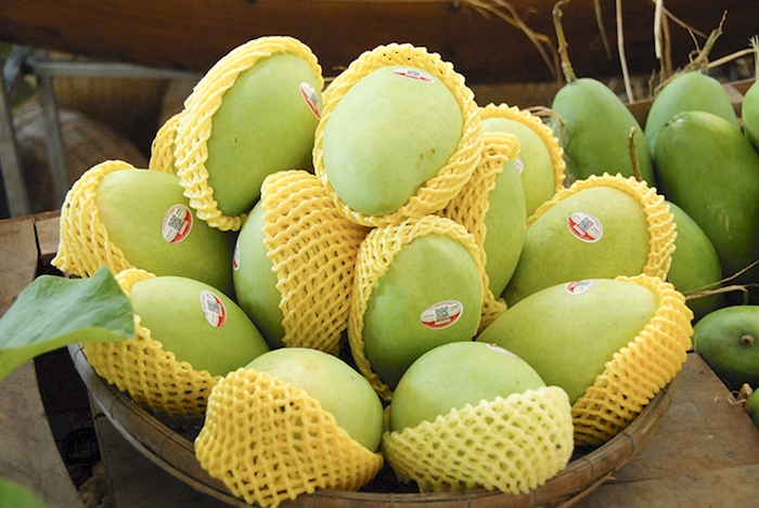 Xoài là sản phẩm được cấp nhiều mã số vùng trồng nhất.