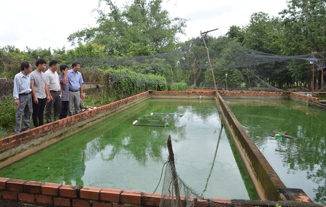 Các học viên lớp kỹ thuật nuôi ba ba ở xã Tân Thành tham quan một mô hình nuôi ba ba trong ao (Ảnh: TL)