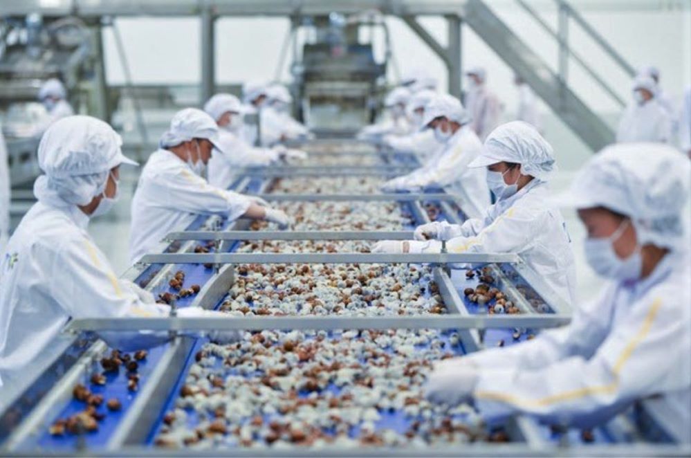 Nhà máy có tổng vốn đầu tư giai đoạn I lên tới 1.200 tỷ đồng, với dây chuyền thiết bị có công nghệ hiện đại bậc nhất thế giới (Ảnh: Int)