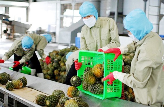 Nhiều HTX tại Nam Định chủ động đẩy mạnh chế biến sau thu hoạch nhằm tăng giá trị sản xuất (Ảnh TL)