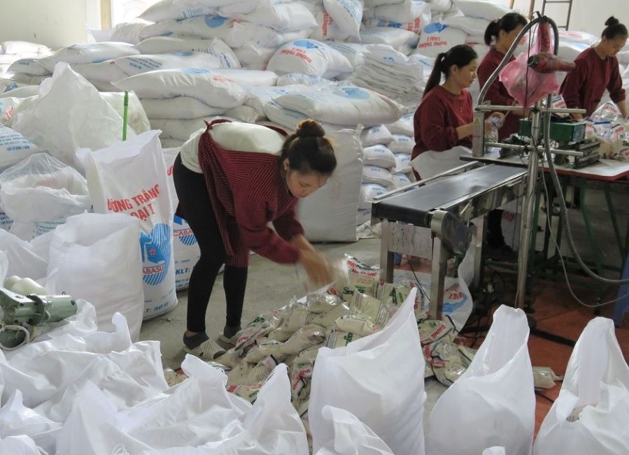 Lượng nhập khẩu gia tăng đột biến được cho là nguyên nhân chính gây thiệt hại cho ngành mía đường trong nước (Ảnh minh họa: Int)