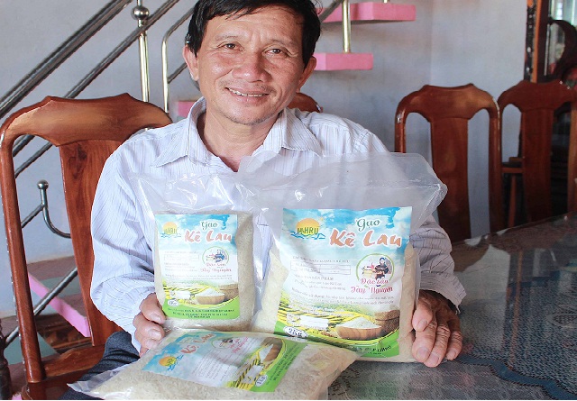 Song song với trồng chanh dây, HTX Ia Hrú còn phát triển giống lúa Kê Lau, vốn là đặc sản của địa phương.