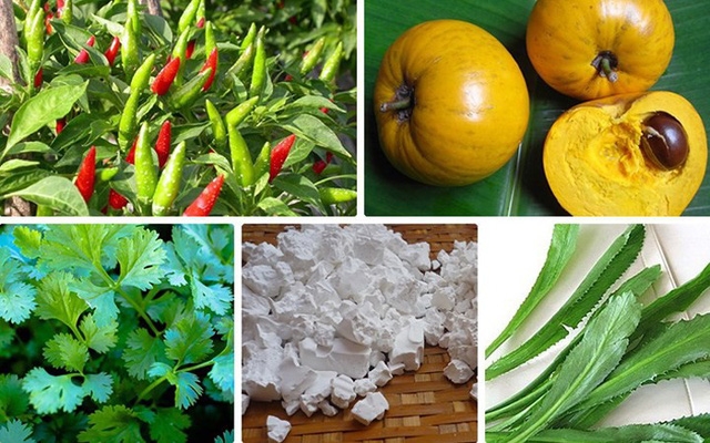 Hội nghị chào hàng nông sản - thực phẩm Việt Nam quy mô quốc tế (Ảnh minh họa)