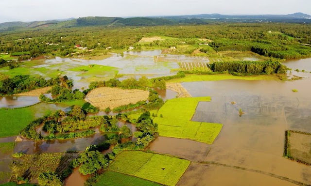 Huyện Xuân Lộc đang hướng đến huyện nông thôn mới kiểu mẫu với sản xuất nông nghiệp bền vững.