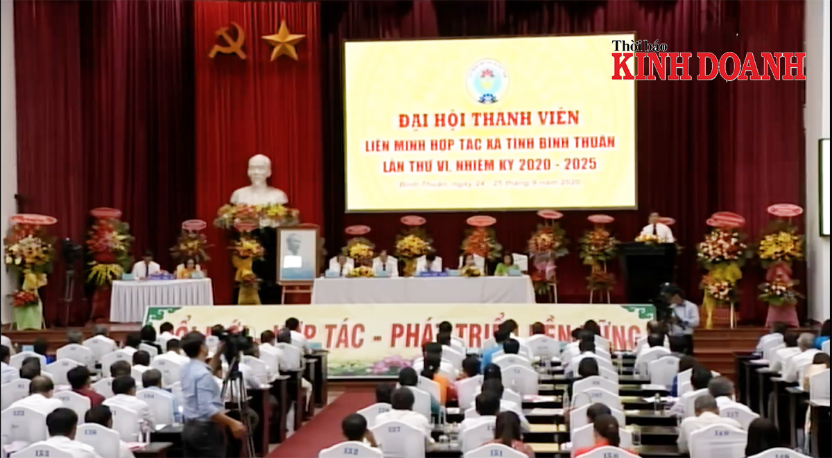 Ban Chấp hành Liên minh HTX tỉnh Bình Thuận nhiệm kỳ 2020 - 2025.