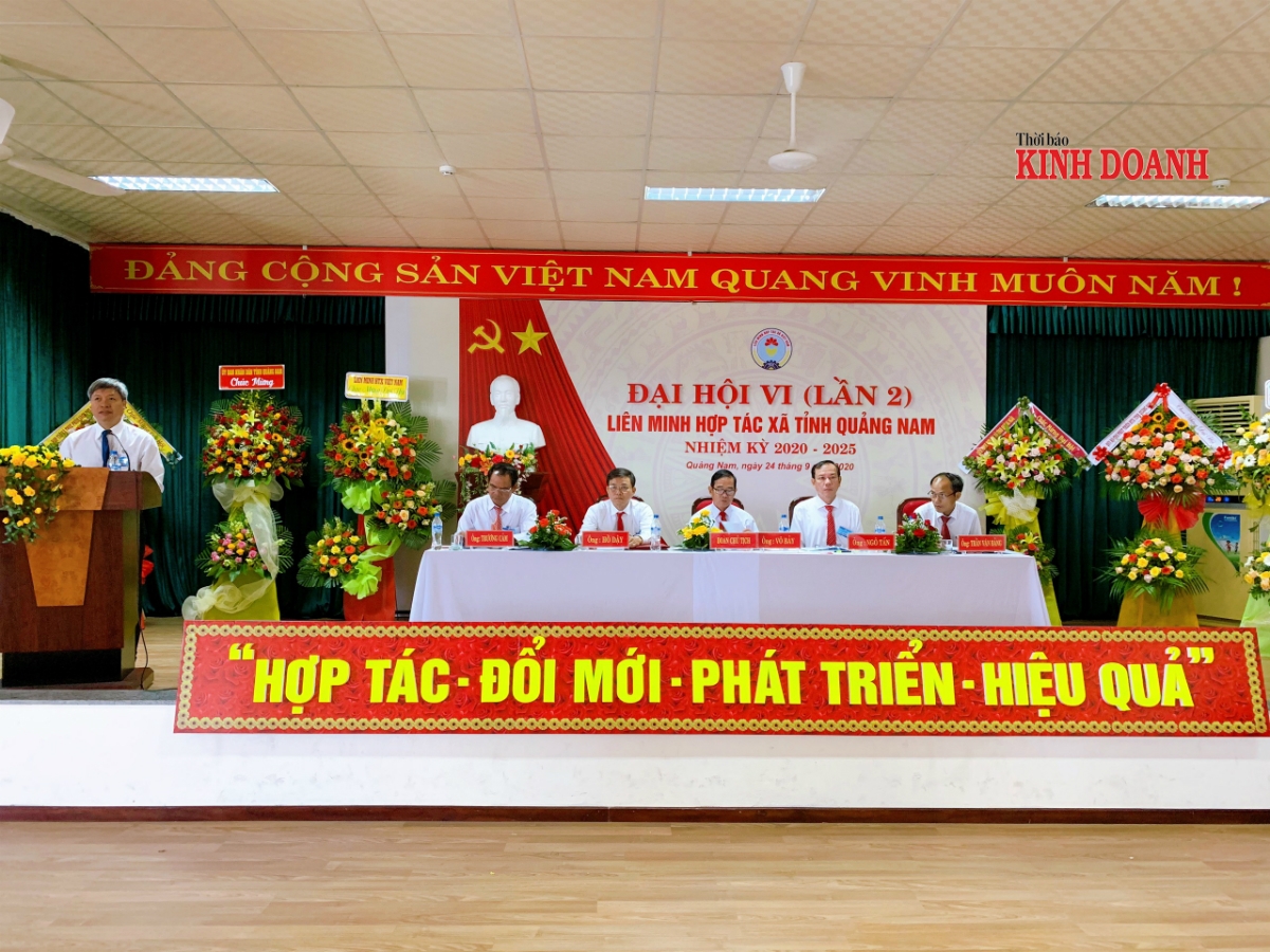 Tính đến 30/8/2020, toàn tỉnh có hơn 2.600 tổ hợp tác (THT), 390 HTX hoạt động, tăng 228 HTX so với đầu nhiệm kỳ.