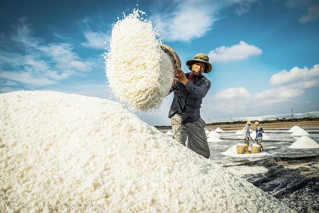 HTX Nông nghiệp – Dịch vụ Thiềng Liềng giúp nghề muối ở xã Thạnh An thêm phát triển.