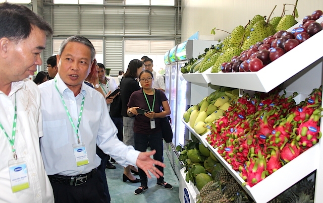 Để khơi thông XK trái cây tươi vào Mỹ cần chuẩn bị kỹ càng ở khâu kiểm dịch và nên có công nghệ bảo quản tốt hơn.