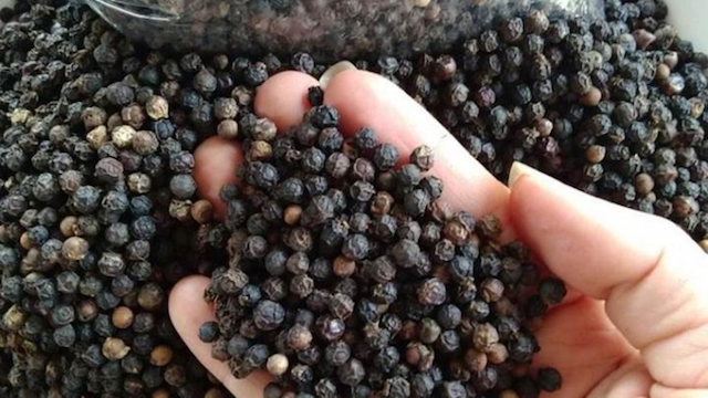 Giá hò tiêu cao nhất đạt 51.500 đồng/kg.