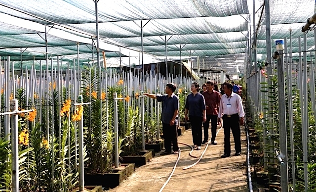 Mô hình trồng hoa lan ở xã An Điền được nhiều người đến học hỏi.