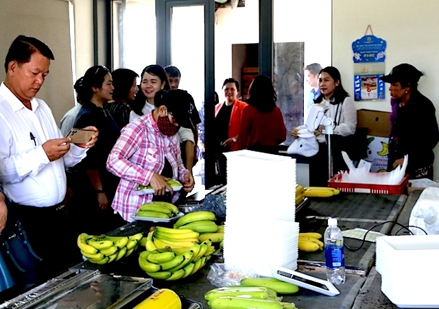 Mô hình mô hình trang trại trồng và chế biến chuối của ông Nguyễn Ngọc Châu.