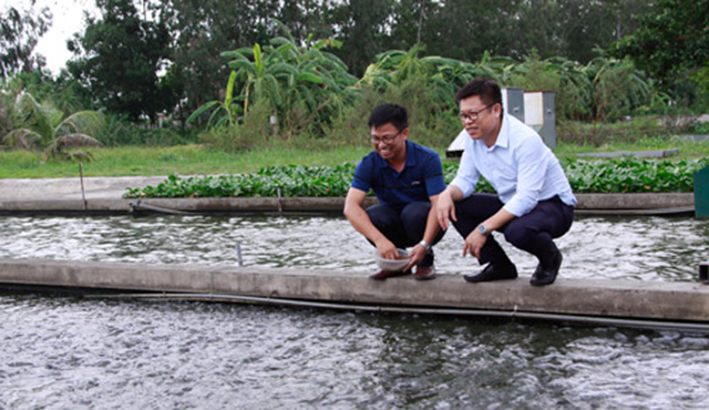 Ông Lê Văn Việt, Giám đốc HTX thủy sản Xuyên Việt (bên trái) cho biết, các HTX nông nghiệp, nhất là các HTX thủy sản luôn gặp nhiều nguy cơ và rủi ro bởi thiên tai, dịch bệnh và giá cả thị trường bấp bênh. Do vậy, nếu có các gói bảo hiểm sẽ giúp cho các HTX yên tâm sản xuất.