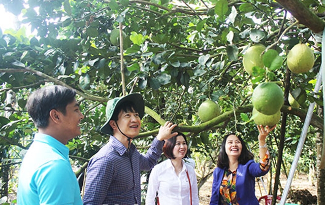 Chuyển đổi cơ cấu cây trồng giúp đời sống người dân Tà Lài khấm khá (Ảnh: TL)