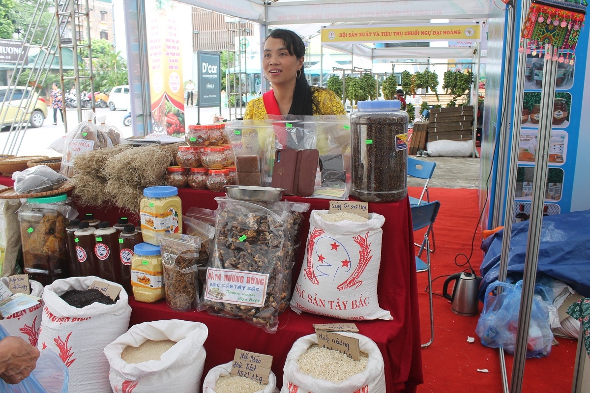 Các HTX, doanh nghiệp tại 20 tỉnh, thành phố trên cả nước mang sản phẩm OCOP đến giới thiệu và bày bán.