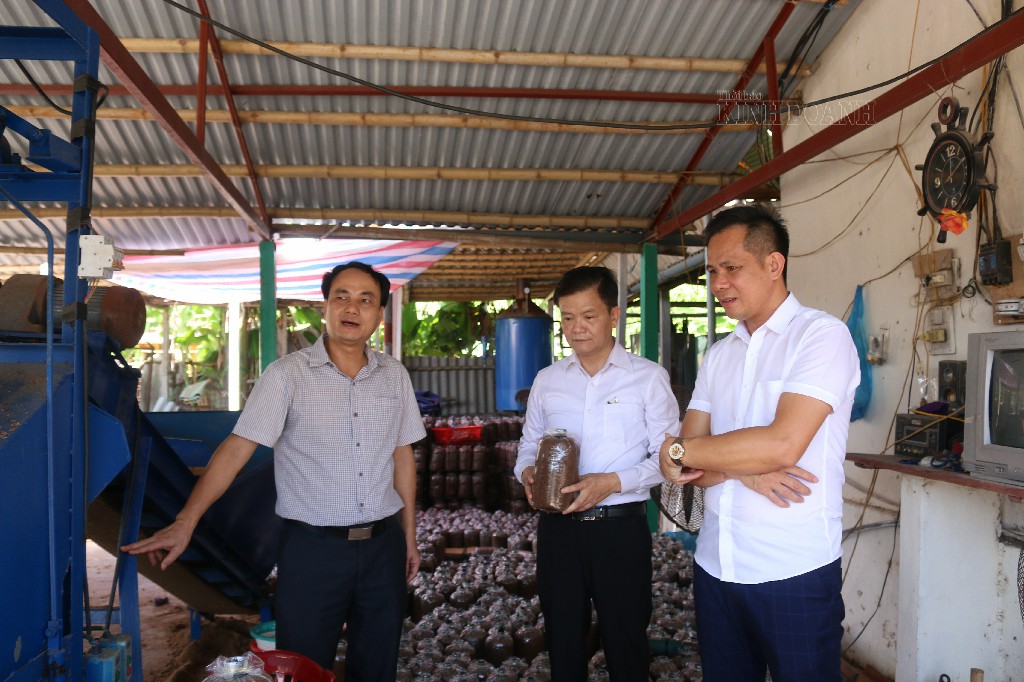 Ông Phạm Công Bằng - Giám đốc Quỹ Hỗ trợ phát triển HTX (trái) và ông Trần Văn Phiệt - Phó Chủ tịch Liên minh HTX tỉnh Nam Định (giữa) tham quan và đánh giá hiệu quả về việc sử dụng vốn của HTX.