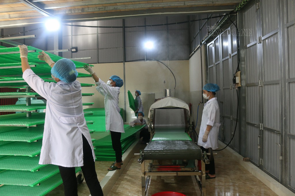 Dây chuyền sản xuất bánh đa nem, mì gạo