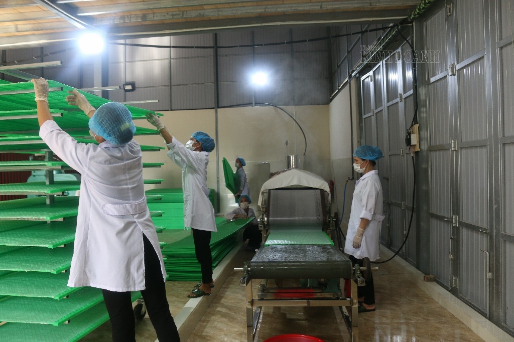 Dây chuyền sản xuất bánh đa nem, mì gạo