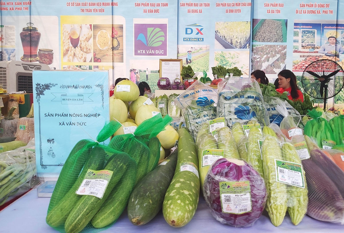 Mặc dù sản phẩm của HTX rau Văn Đức đươc T.P Hà Nội đánh giá là sản phẩm OCOP bốn (4) sao năm 2019 nhưng việc tìm kiếm thị trường vẫn còn nhiều khó khăn.