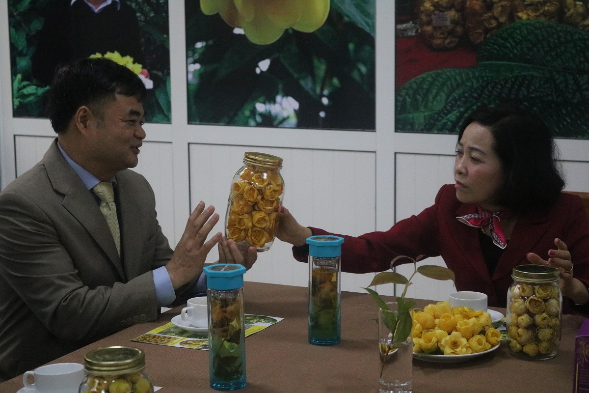 TS. Vũ Văn Tâm giới thiệu về sản phẩm từ trà hoa vàng với lãnh đạo tỉnh Ninh Bình.