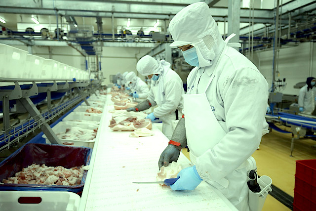 Nếu gia tăng được sản phẩm thịt chế biến, giá trị ngành chăn nuôi có thể tăng vài chục phần trăm, thậm chí là 100%