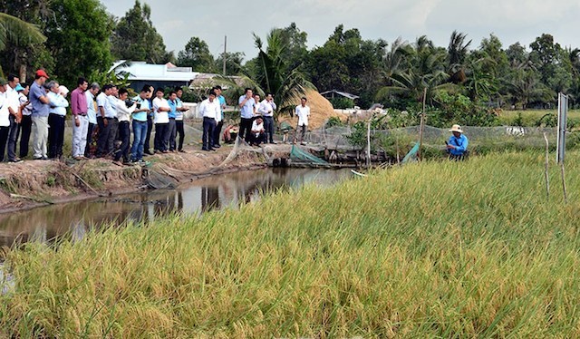 Thế mạnh trong lĩnh vực ngư - nông - lâm nghiệp là điều kiện tốt để Cà Mau phát triển đào tạo nghề cho lao động nông thôn gắn với tạo việc làm tại chỗ.