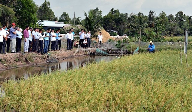Thế mạnh trong lĩnh vực ngư - nông - lâm nghiệp là điều kiện tốt để Cà Mau phát triển đào tạo nghề cho lao động nông thôn gắn với tạo việc làm tại chỗ.