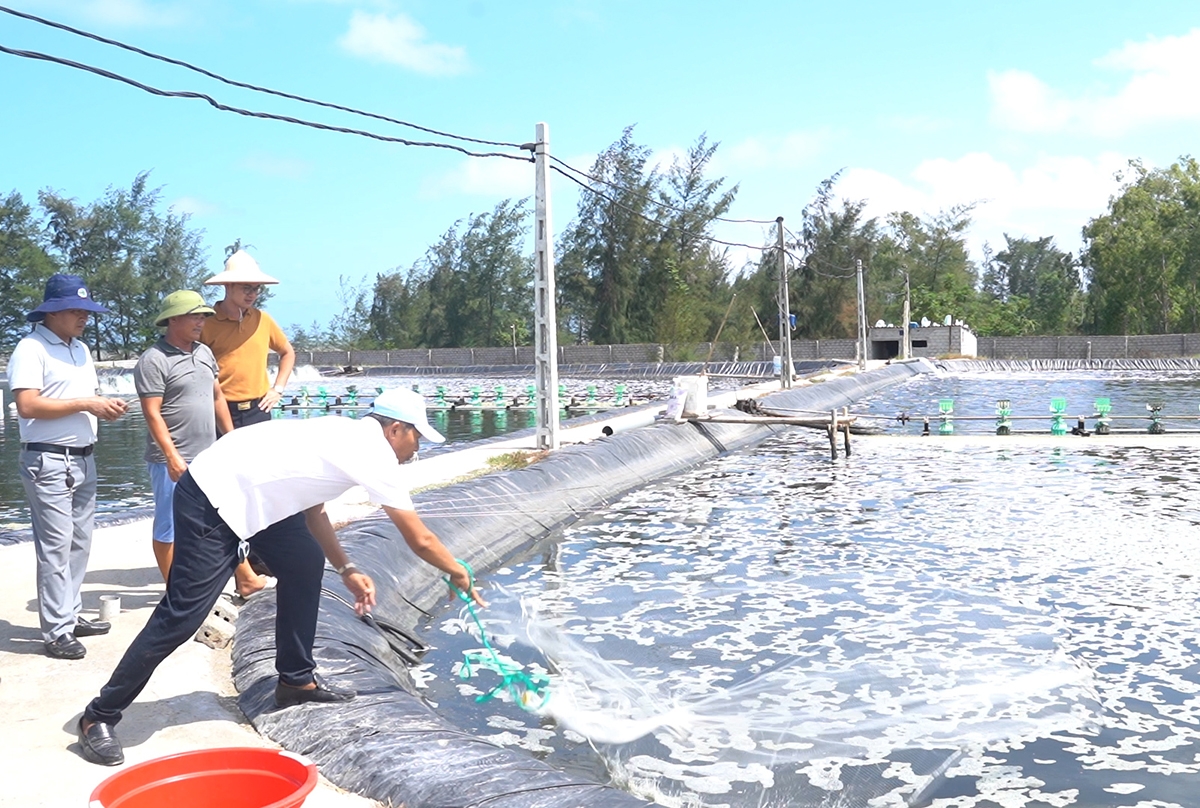 Các mô hình sản xuất công nghệ cao được hình thành trong quá trình xây dựng nông thôn mới.