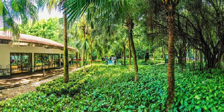 ”Nhà mẫu Sky Oasis được xây dựng trong công viên Mùa Xuân với không gian tràn ngập cây xanh. Tại khu đô thị này, tất cả các công trường xây dựng, nhà mẫu hay văn phòng đều được bao quanh bởi các rừng cây rộng mênh mông. Đây là điểm đặc biệt tại Ecopark mà không có bất cứ khu đô thị nào có được, chị Nguyễn Linh - một khách hàng thân quen của Ecopark cho biết.