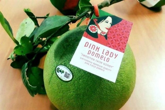 HTX đã cho ra sản phẩm hoàn chỉnh mang thương hiệu “Cô gái bưởi hồng” để xuất khẩu thử 2 đợt hàng sang Singapore và Canada (Ảnh: HTX cung cấp)