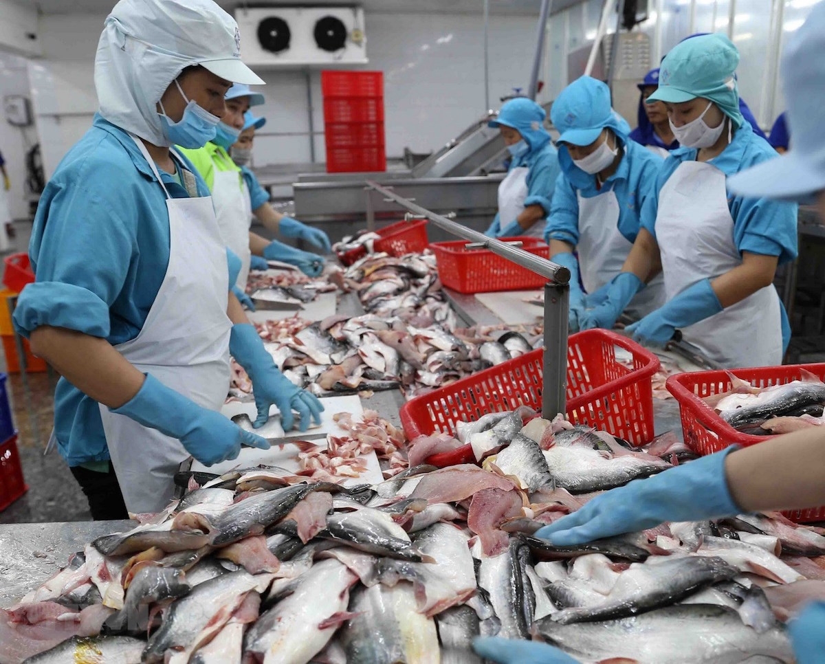 Xuất khẩu cá tra sáng cửa trong 3 tháng cuối năm.