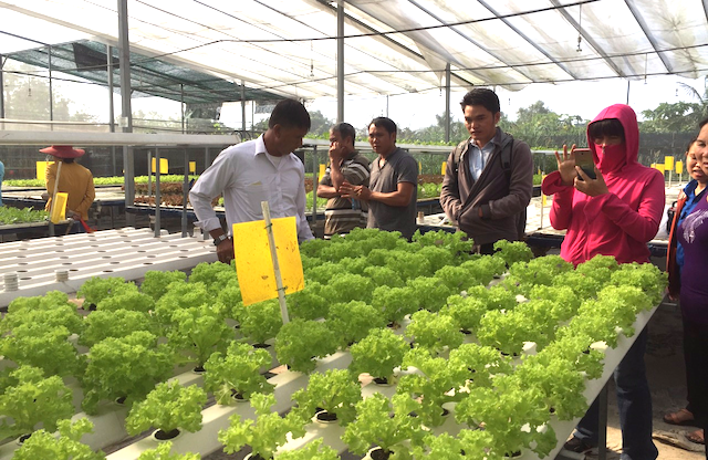 Nông dân học nghề đi tham quan mô hình thực tế tại xã An Nhơn Tây, huyện Củ Chi.