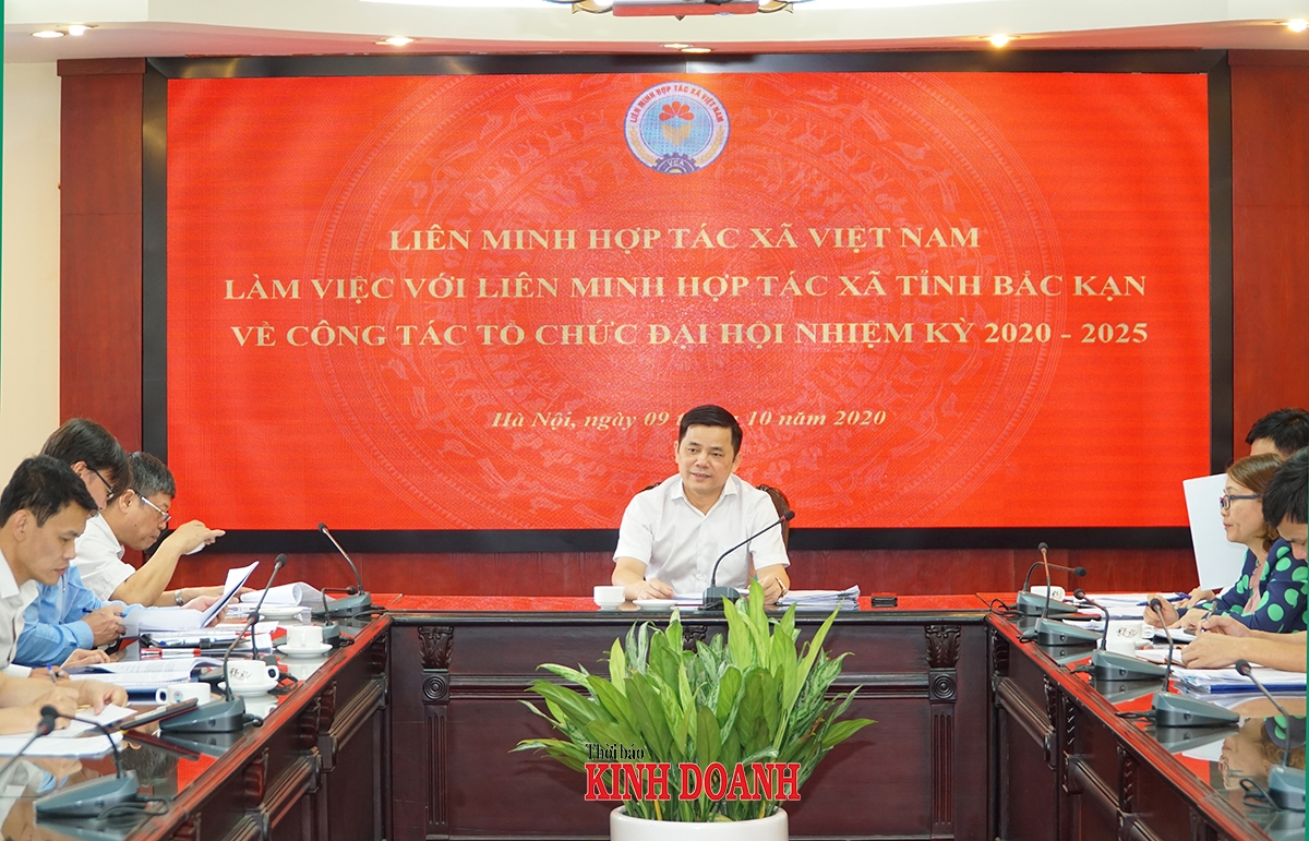 Phó Chủ tịch Nguyễn Văn Thịnh chủ trì buổi làm việc với Ban Thường vụ Liên minh HTX tỉnh Bắc Kạn về công tác chuẩn bị Đại hội khóa V Liên minh HTX tỉnh Bắc Kạn sáng 9/10.