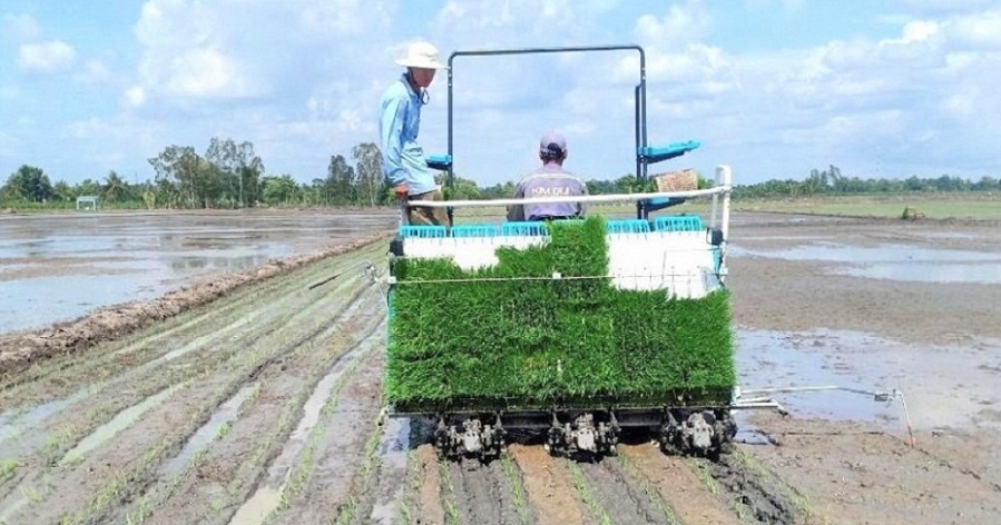Năng suất lao động trong khu vực nông nghiệp tăng mạnh nhờ áp dụng cơ giới hóa vào sản xuất (Ảnh: Int)