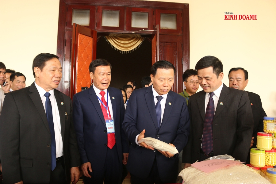 Đồng chí Nguyễn Nhân Chiến – Uỷ viên Ban Chấp hành Trung ương Đảng, Trưởng đoàn Đại biểu Quốc hội cùng Phó Chủ tịch Liên minh HTX Việt Nam Nguyễn Văn Thịnh và lãnh đạo tỉnh thăm các gian hàng trưng bày tại khu vực tổ chức Đại hội.