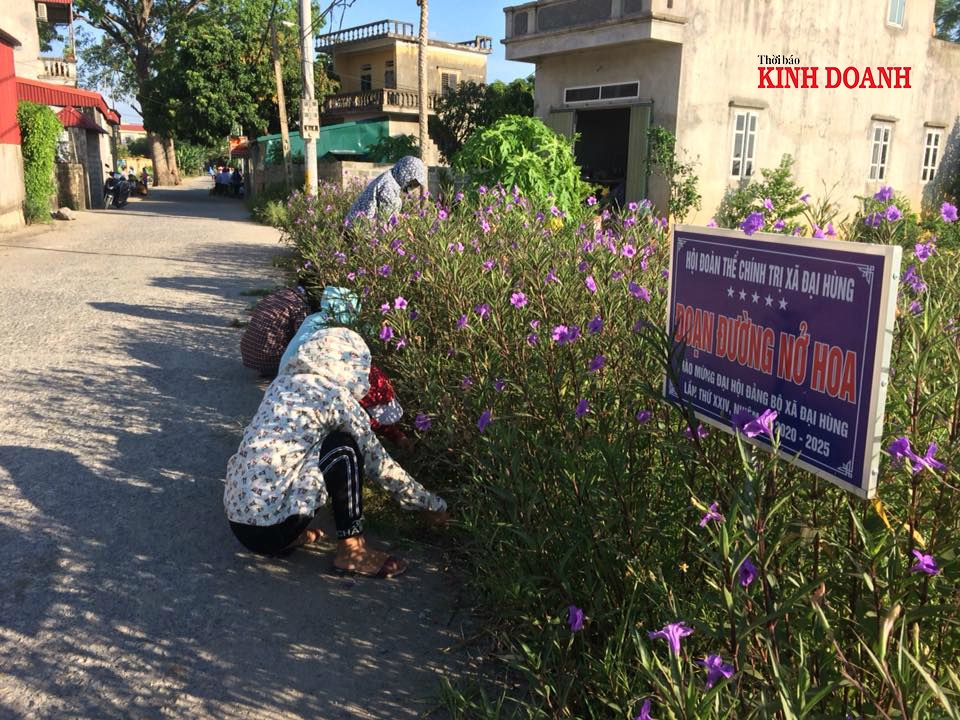 Một môi giới bất động sản tại huyện Ứng Hoà cho hay, Đại Hùng là một trong những xã được chọn làm vị trí quy hoạch xây sân bay.