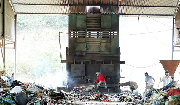 Mỗi tháng HTX Tân Phát phải chi 200 triệu để trả lương công nhân và các chi phí phục vụ sản xuất